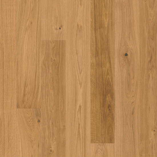 Trend Diele Eiche Elegant Natur