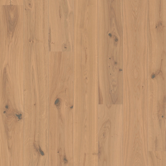 Trend Diele Eiche Markant Medium Weiß