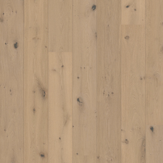 Trend Diele Eiche Vulkan Markant Roheffekt